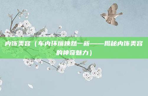 内饰美容(车内环境焕然一新——揭秘内饰美容的神奇魅力)