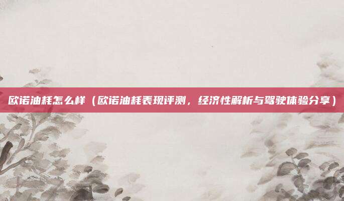 欧诺油耗怎么样(欧诺油耗表现评测,经济性解析与驾驶体验分享)