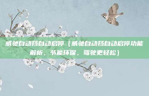 威驰自动挡自动启停(威驰自动挡自动启停功能解析,节能环保,驾驶更轻松)