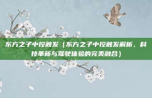 东方之子中控触发(东方之子中控触发解析,科技革新与驾驶体验的完美融合)