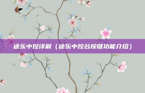 途乐中控详解(途乐中控台按键功能介绍)