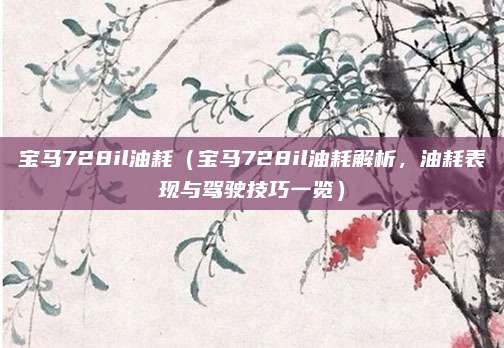 宝马728il油耗(宝马728il油耗解析,油耗表现与驾驶技巧一览)