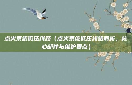 点火系统低压线路(点火系统低压线路解析,核心部件与维护要点)