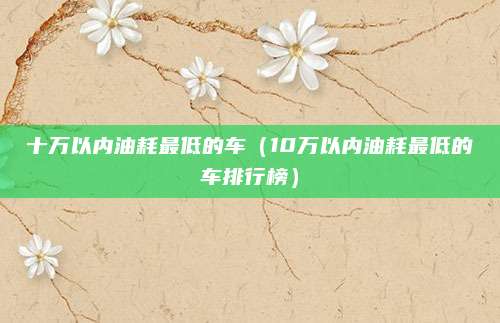 十万以内油耗最低的车(10万以内油耗最低的车排行榜)