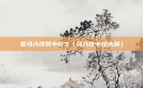 老马六改装中控5(马六改中控大屏)