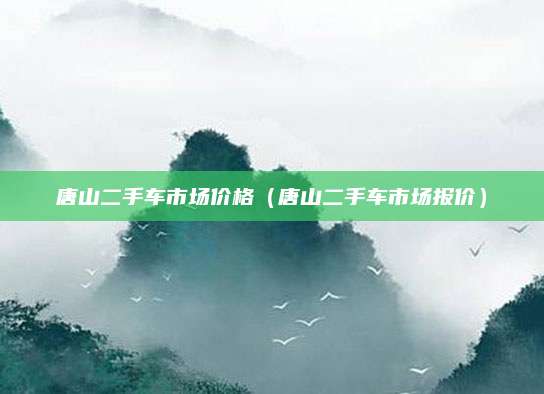 唐山二手车市场价格(唐山二手车市场报价)