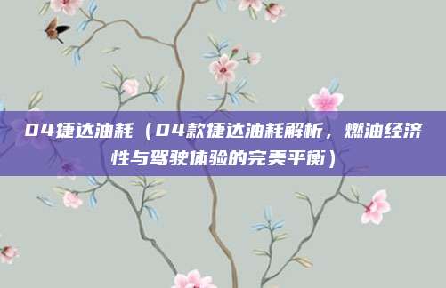 04捷达油耗（04款捷达油耗解析，燃油经济性与驾驶体验的完美平衡）