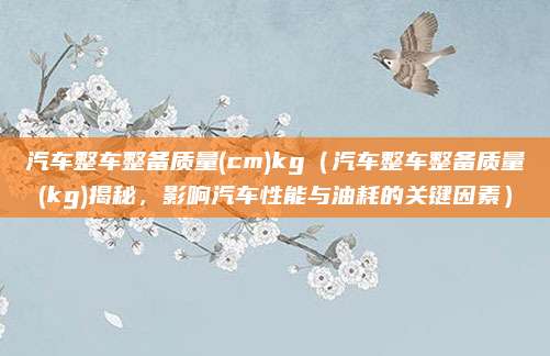 汽车整车整备质量(cm)kg(汽车整车整备质量(kg)揭秘,影响汽车性能与油耗的关键因素)