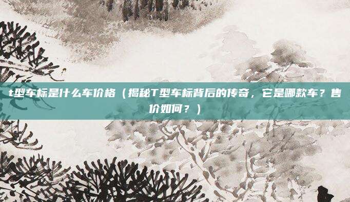 t型车标是什么车价格(揭秘T型车标背后的传奇,它是哪款车?售价如何?)