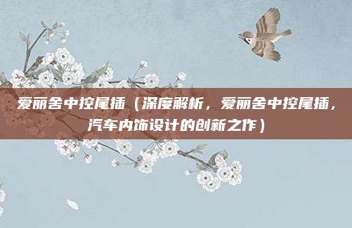 爱丽舍中控尾插（深度解析，爱丽舍中控尾插，汽车内饰设计的创新之作）