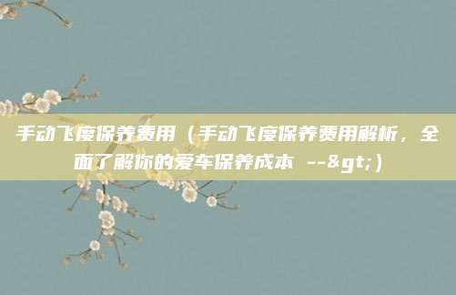 手动飞度保养费用(手动飞度保养费用解析,全面了解你的爱车保养成本 -->)