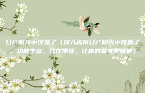 日产阳光中控盒子(深入解析日产阳光中控盒子,功能丰富、操作便捷,让你的驾驶更智能)