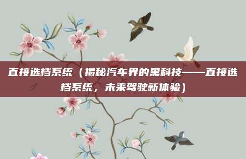 直接选档系统(揭秘汽车界的黑科技——直接选档系统,未来驾驶新体验)