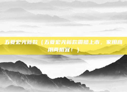 五菱宏光新款（五菱宏光新款震撼上市，家用商用两相宜！）