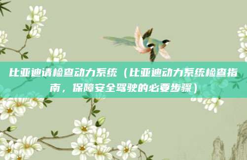 比亚迪请检查动力系统(比亚迪动力系统检查指南,保障安全驾驶的必要步骤)
