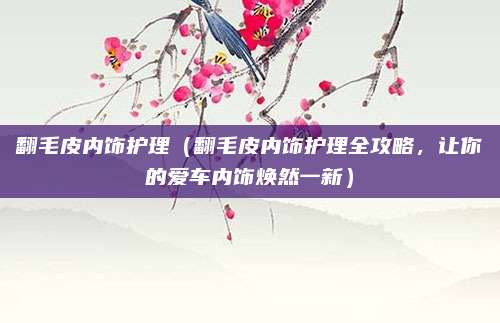 翻毛皮内饰护理(翻毛皮内饰护理全攻略,让你的爱车内饰焕然一新)