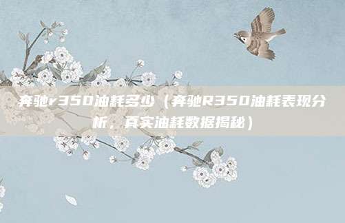 奔驰r350油耗多少(奔驰R350油耗表现分析,真实油耗数据揭秘)