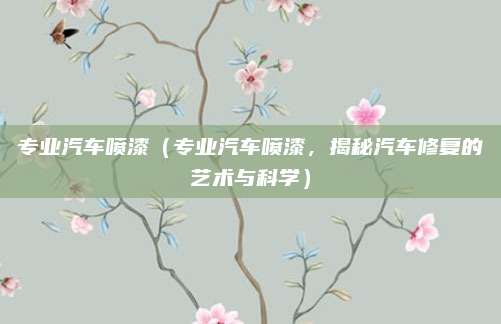 专业汽车喷漆(专业汽车喷漆,揭秘汽车修复的艺术与科学)
