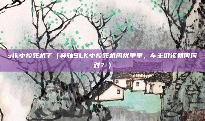 slk中控死机了(奔驰SLK中控死机困扰重重,车主们该如何应对?)