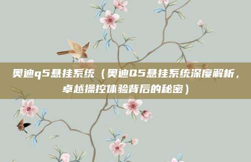 奥迪q5悬挂系统(奥迪Q5悬挂系统深度解析,卓越操控体验背后的秘密)
