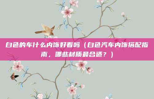 白色的车什么内饰好看吗(白色汽车内饰搭配指南,哪些材质最合适?)