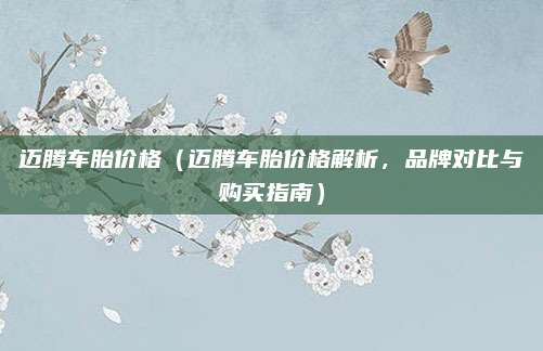 迈腾车胎价格(迈腾车胎价格解析,品牌对比与购买指南)