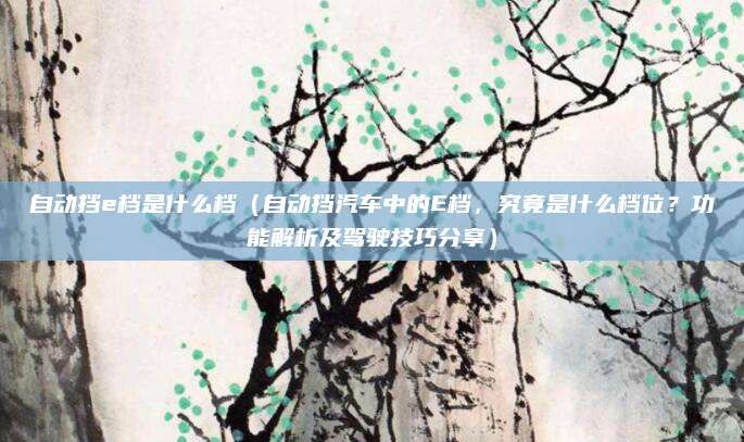 自动挡e档是什么档（自动挡汽车中的E档，究竟是什么档位？功能解析及驾驶技巧分享）