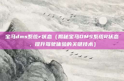 宝马dms系统r状态(揭秘宝马DMS系统R状态,提升驾驶体验的关键技术)