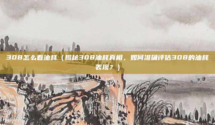 308怎么看油耗(揭秘308油耗真相,如何准确评估308的油耗表现?)