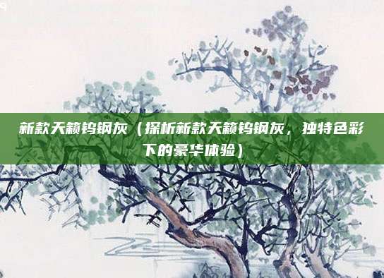 新款天籁钨钢灰（探析新款天籁钨钢灰，独特色彩下的豪华体验）