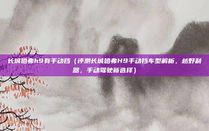 长城哈弗h9有手动挡(评测长城哈弗H9手动挡车型解析,越野利器,手动驾驶新选择)