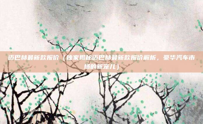 迈巴赫最新款报价（独家揭秘迈巴赫最新款报价解析，豪华汽车市场的新宠儿）