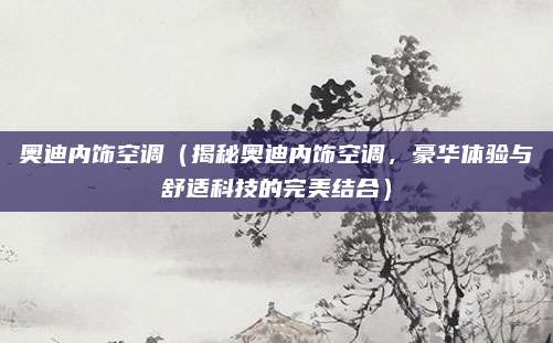 奥迪内饰空调（揭秘奥迪内饰空调，豪华体验与舒适科技的完美结合）