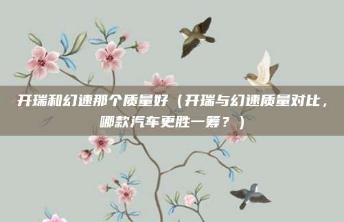 开瑞和幻速那个质量好（开瑞与幻速质量对比，哪款汽车更胜一筹？）