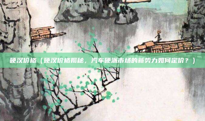 硬汉价格（硬汉价格揭秘，汽车硬派市场的新势力如何定价？）