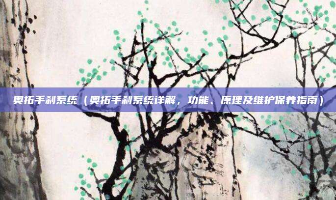 奥拓手刹系统（奥拓手刹系统详解，功能、原理及维护保养指南）