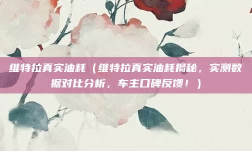 维特拉真实油耗（维特拉真实油耗揭秘，实测数据对比分析，车主口碑反馈！）