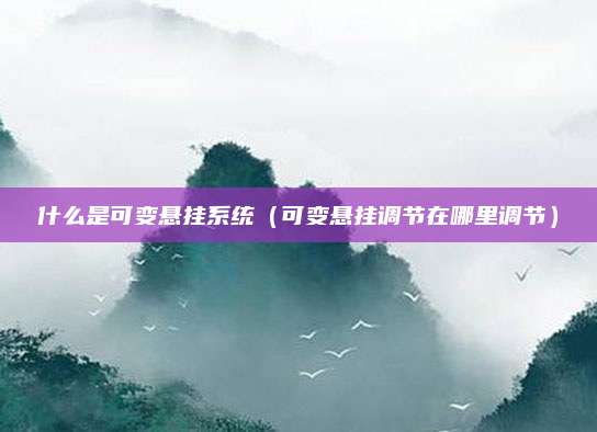 什么是可变悬挂系统(可变悬挂调节在哪里调节)