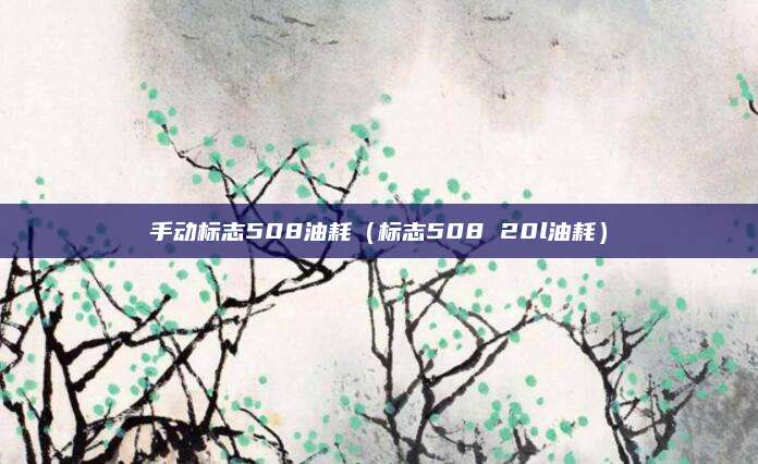 手动标志508油耗(标志508 20l油耗)