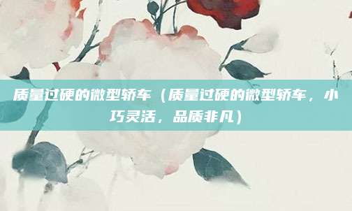 质量过硬的微型轿车（质量过硬的微型轿车，小巧灵活，品质非凡）