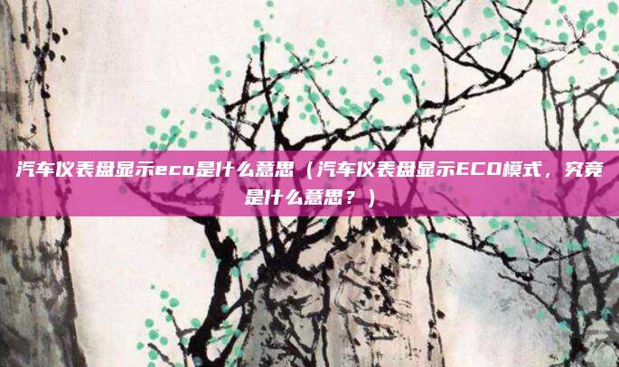 汽车仪表盘显示eco是什么意思（汽车仪表盘显示ECO模式，究竟是什么意思？）