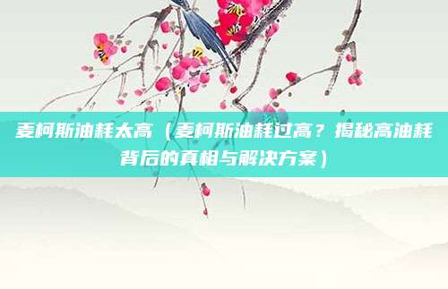 麦柯斯油耗太高（麦柯斯油耗过高？揭秘高油耗背后的真相与解决方案）