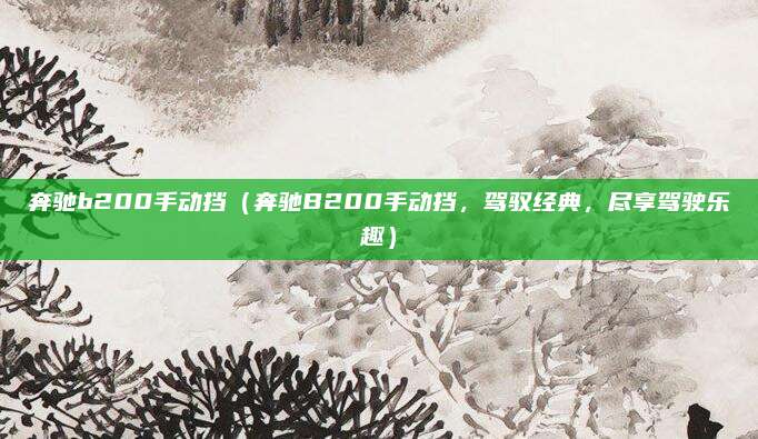 奔驰b200手动挡（奔驰B200手动挡，驾驭经典，尽享驾驶乐趣）