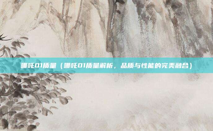 哪吒01质量（哪吒01质量解析，品质与性能的完美融合）