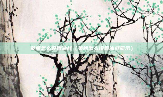英朗怎么设置油耗(英朗怎么设置油耗显示)