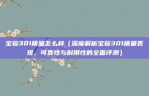 宝骏301质量怎么样（深度解析宝骏301质量表现，可靠性与耐用性的全面评测）