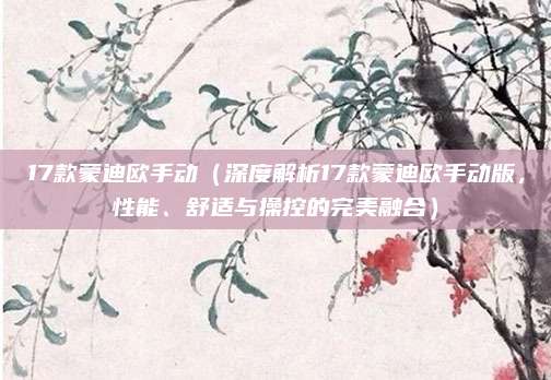 17款蒙迪欧手动（深度解析17款蒙迪欧手动版，性能、舒适与操控的完美融合）