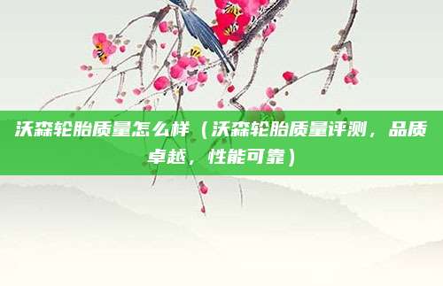 沃森轮胎质量怎么样（沃森轮胎质量评测，品质卓越，性能可靠）