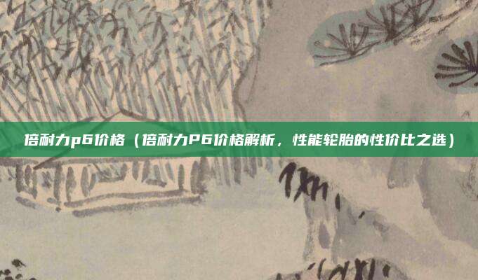 倍耐力p6价格（倍耐力P6价格解析，性能轮胎的性价比之选）