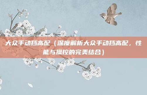 大众手动挡高配（深度解析大众手动挡高配，性能与操控的完美结合）